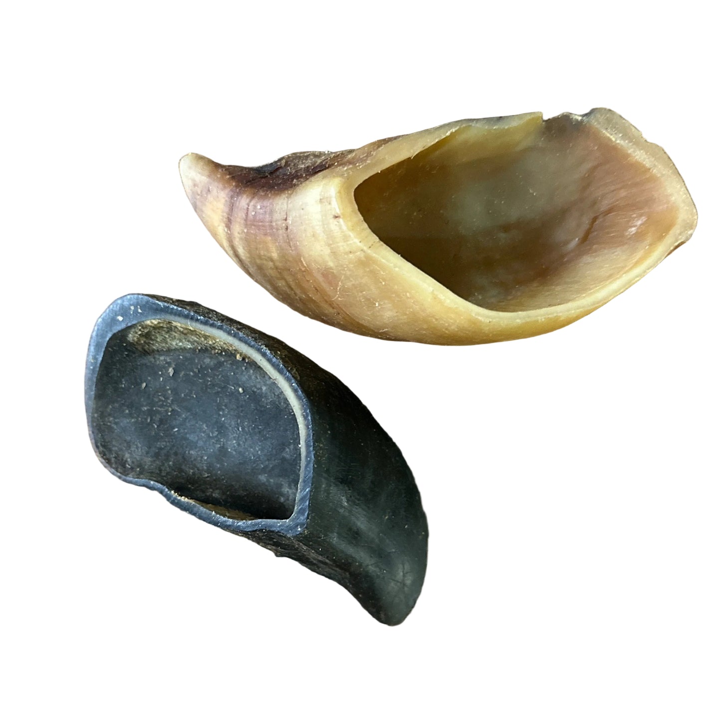 Sabot de bœuf XL