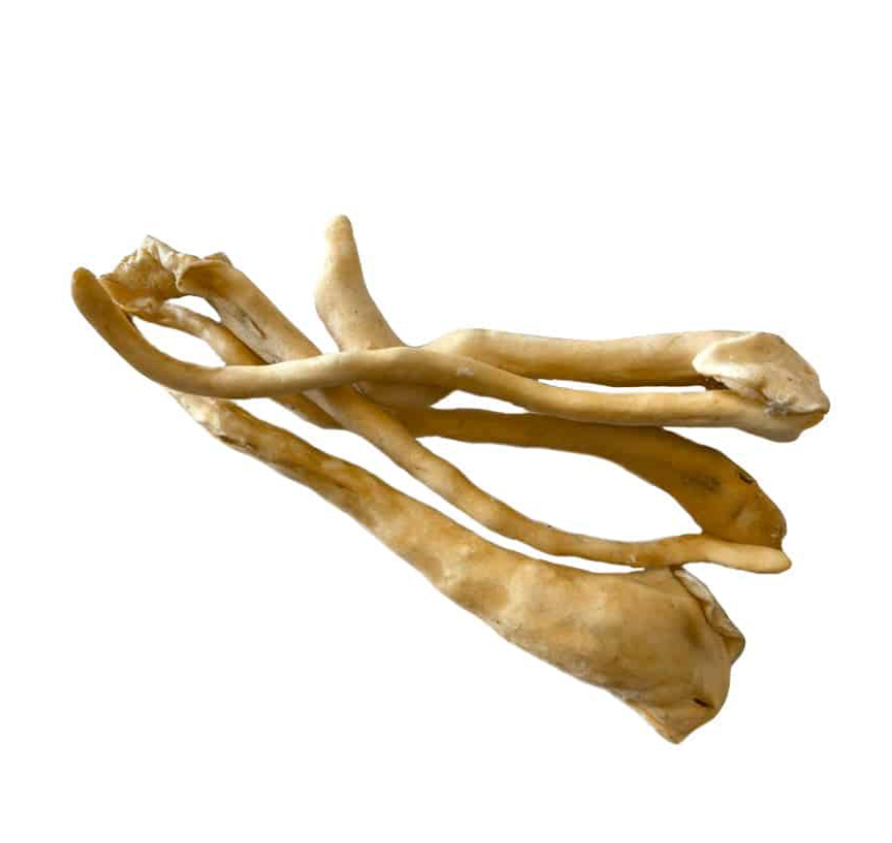 Queues d’agneau-50 grammes