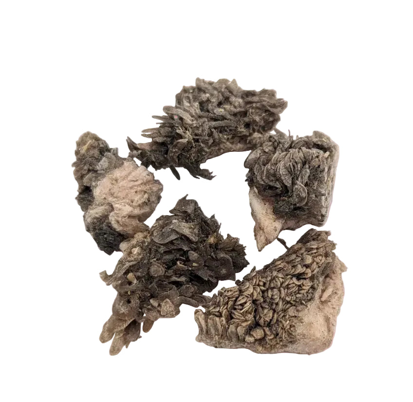 Tripes vertes de bison lyophilisées-1,5oz