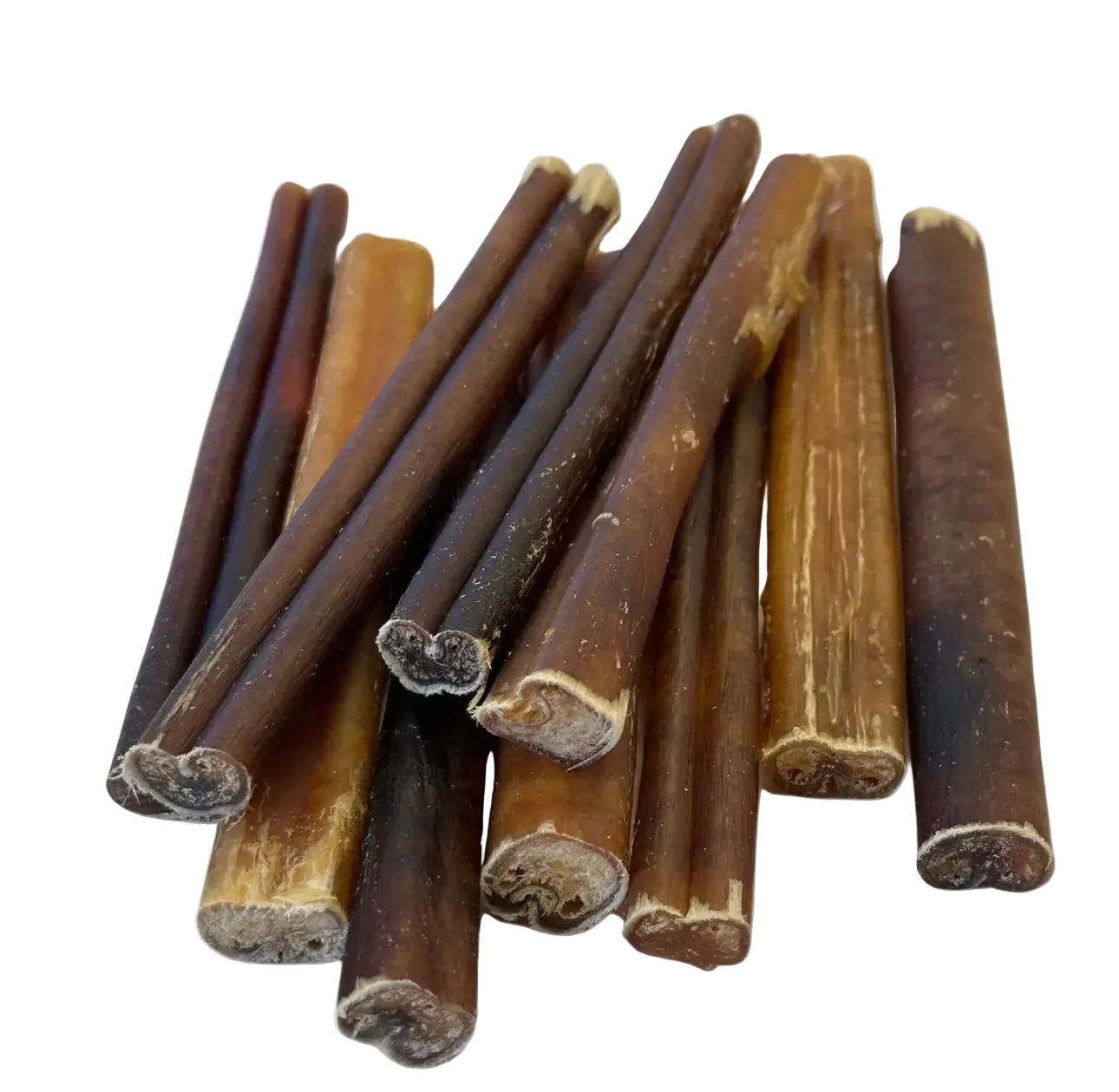 Bâton de Collagène de bœuf- 12 pouces