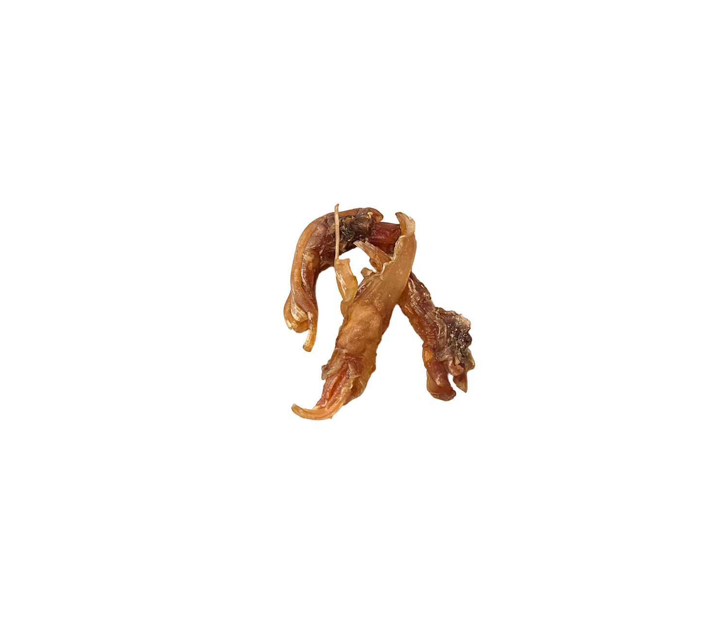 Tendon d’autruche