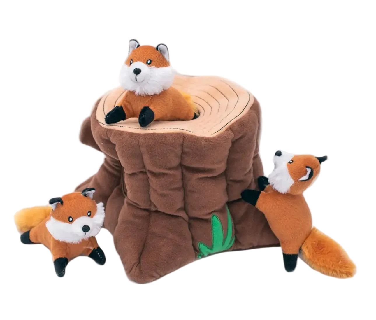 Terrier des renards-Zippy paws