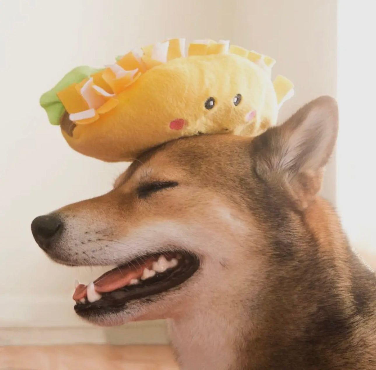 Peluche Taco -ZippyPaws