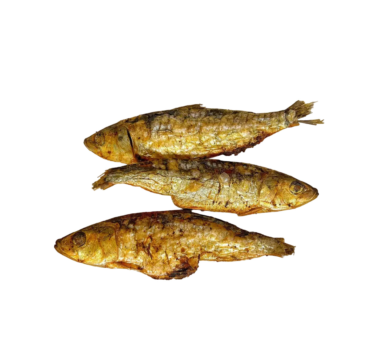 Sardines entières lyophilisées