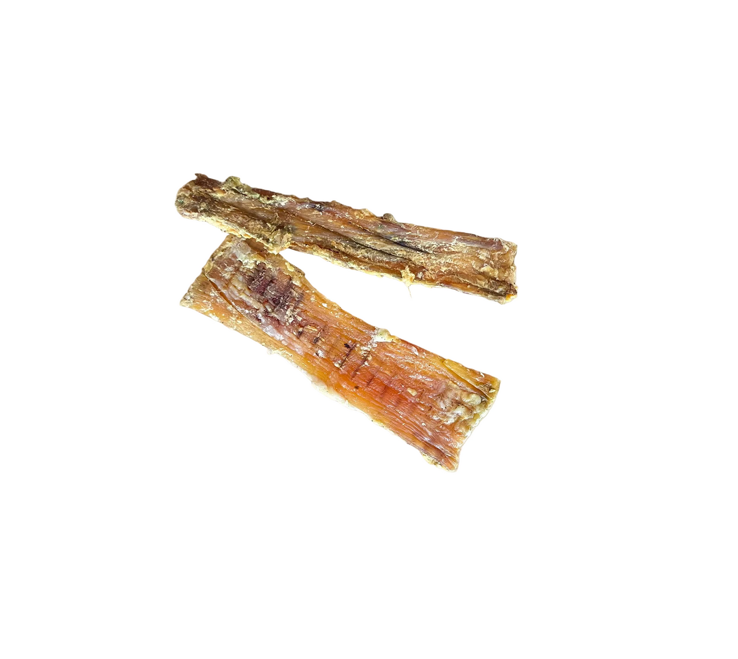 Tendon de bison