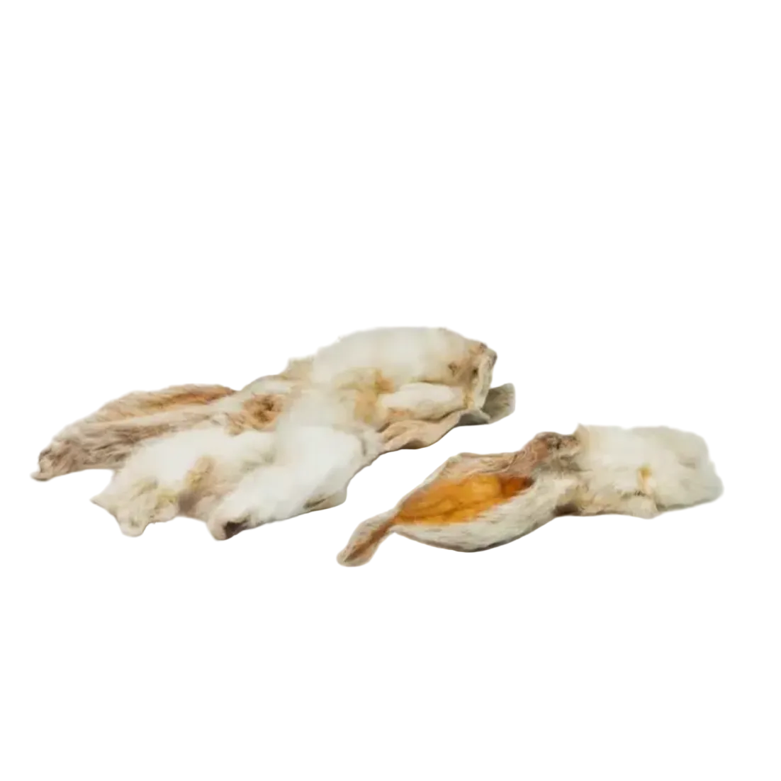 Oreille de lapin