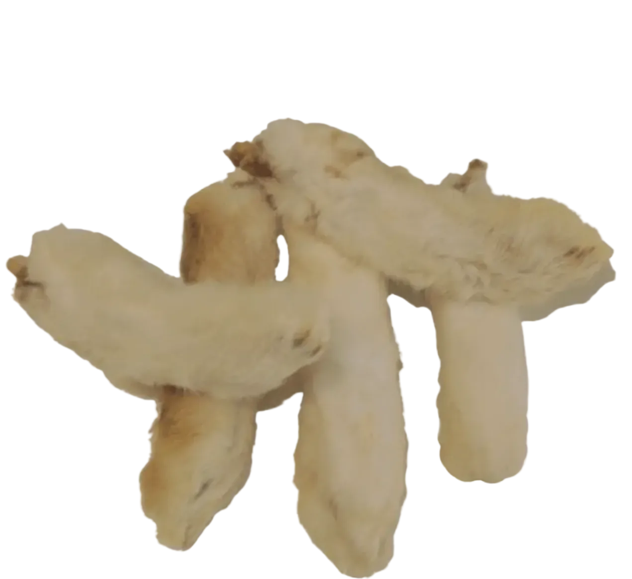 Patte de lapin