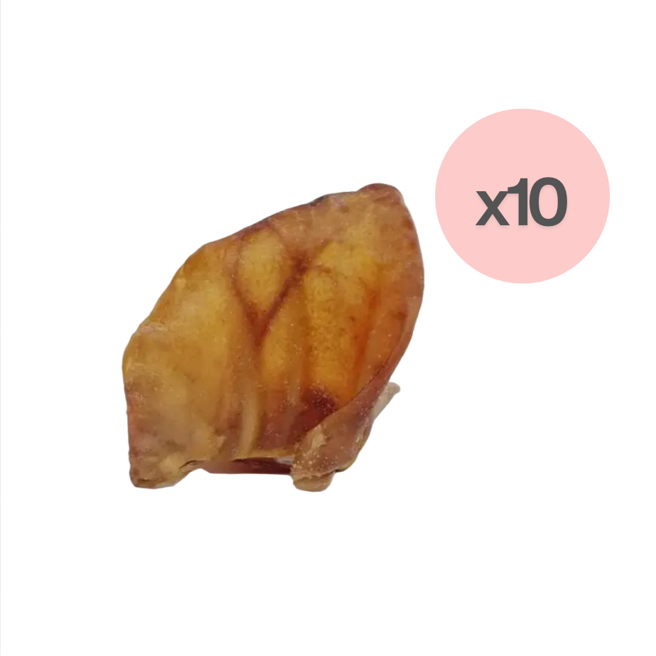 Oreille de porc- petite (10)