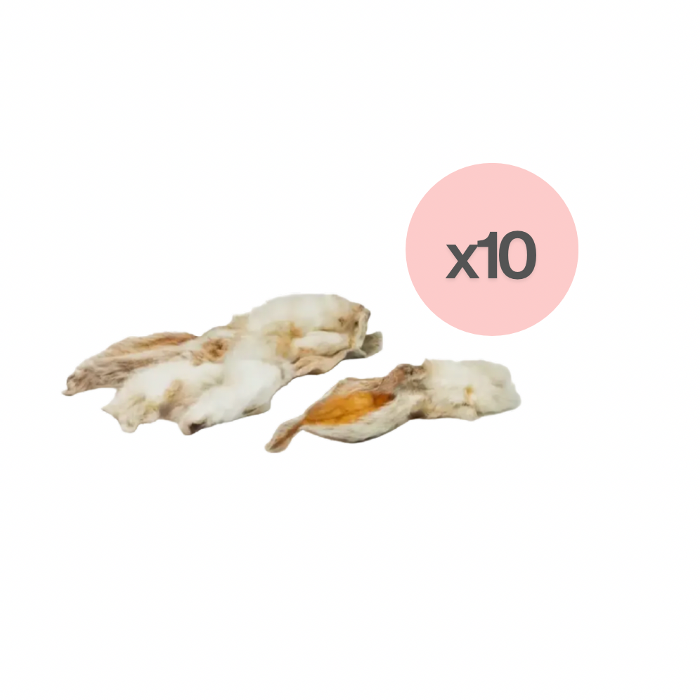 Oreille de lapin (10)