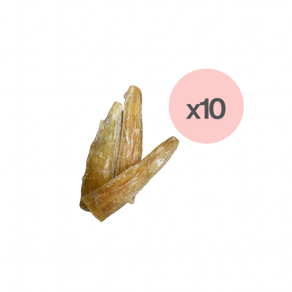 Tendon de porc 4-6 pouces (10)