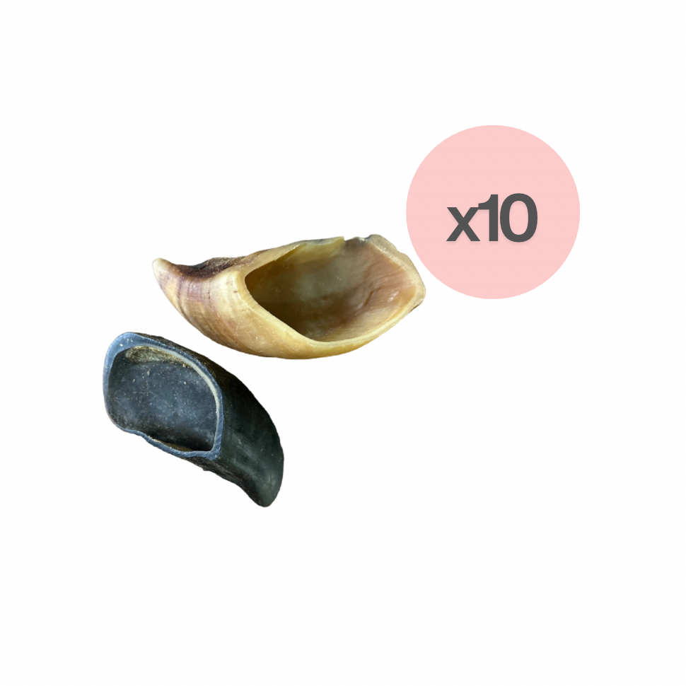 Sabot de bœuf XL (10)