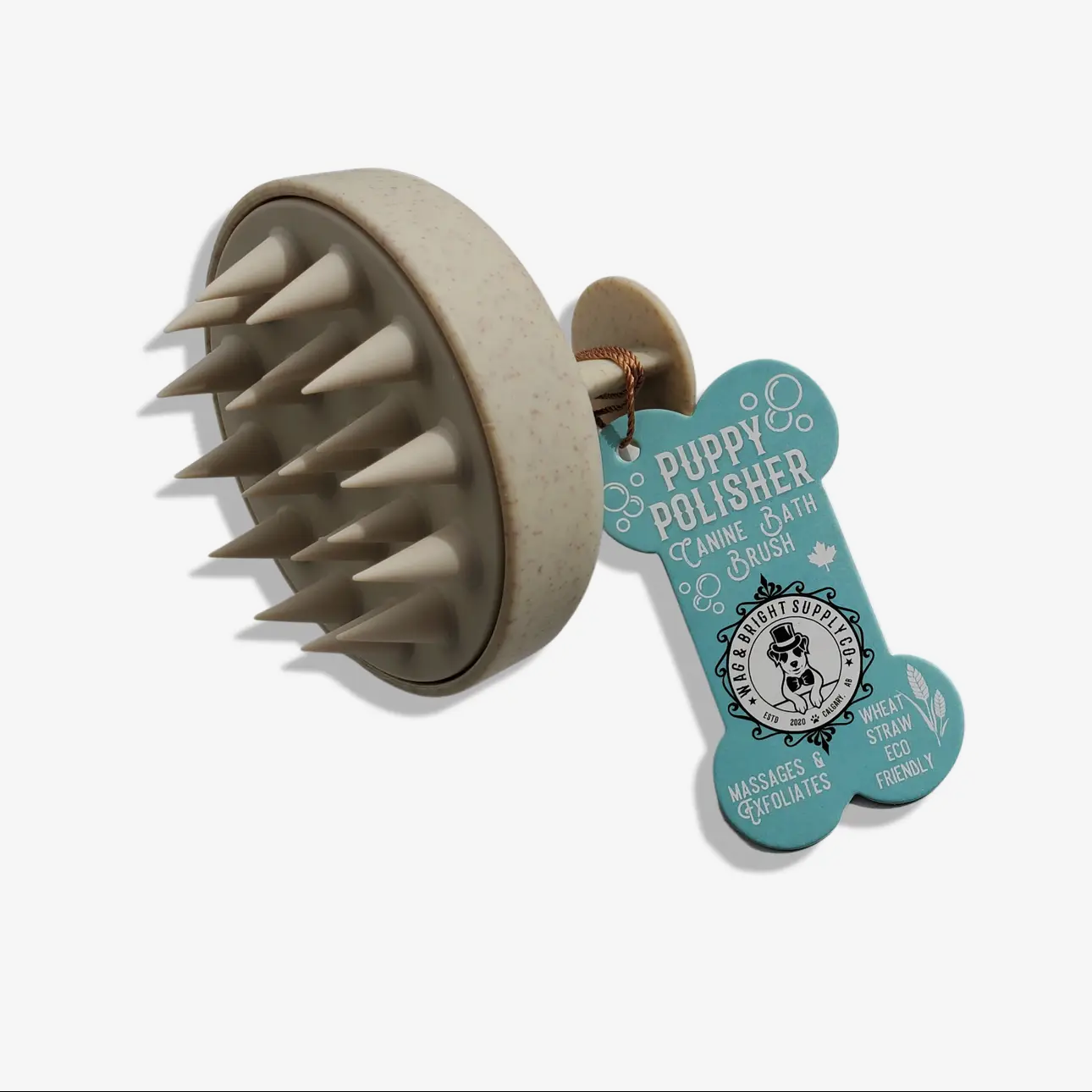 Brosse écolo- WAG & BRIGHT SUPPLY