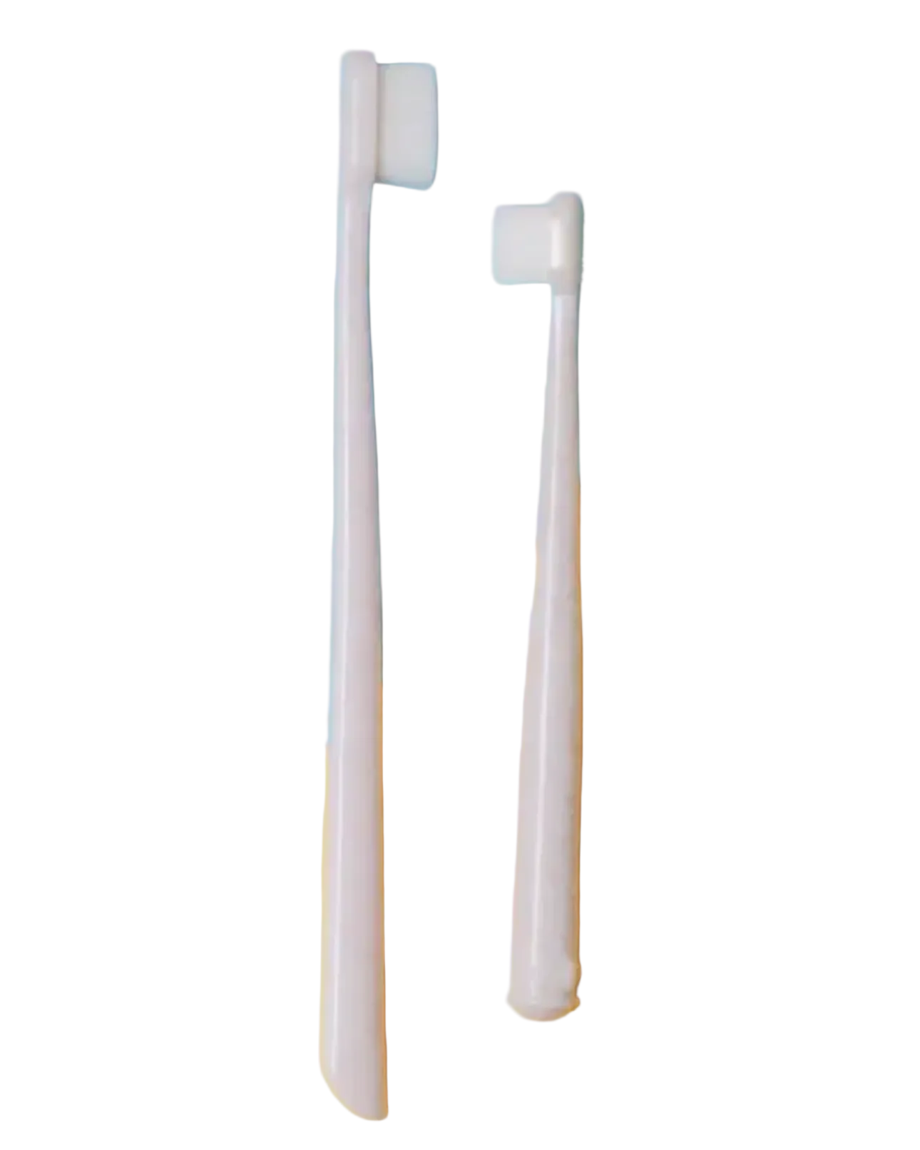 Brosse à dents écolo petite- WAG & BRIGHT SUPPLY