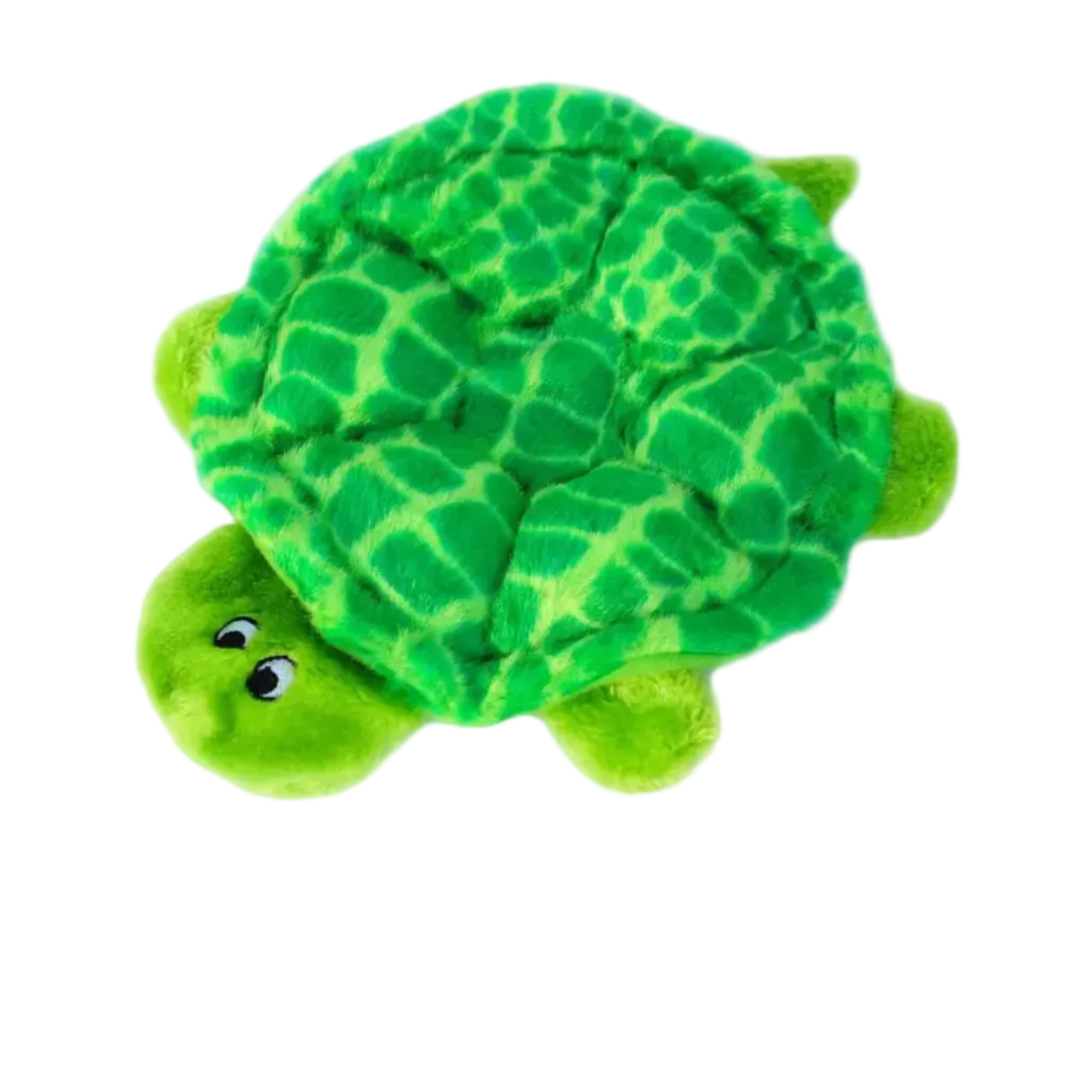 Tortue- Zippy paws