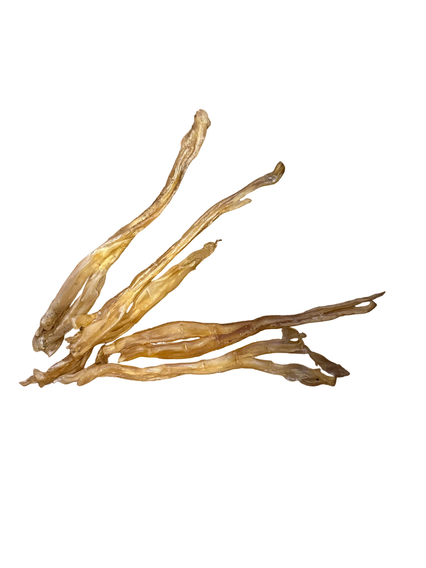 Tendon de buffle d’eau