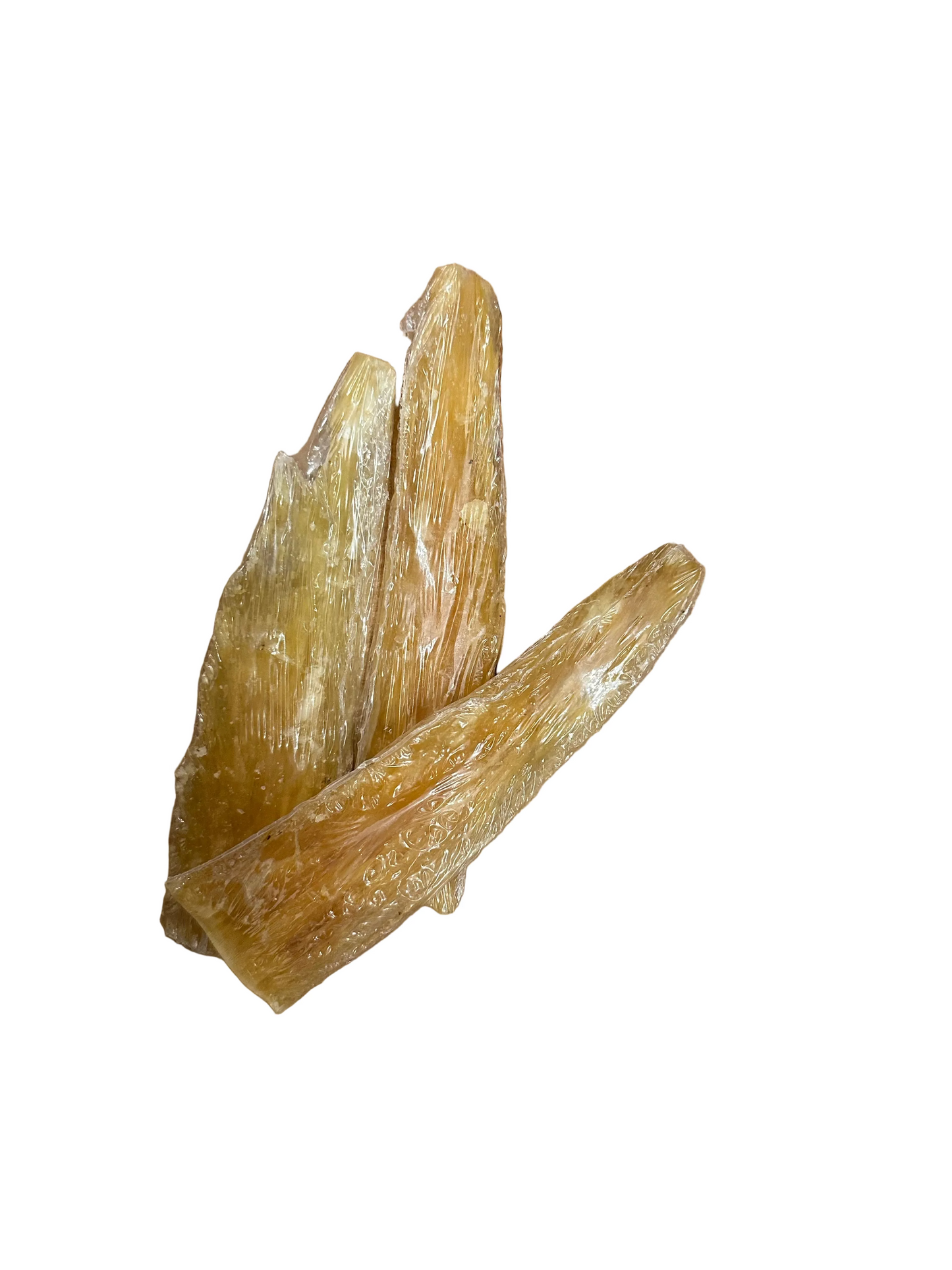 Tendon de porc 4-6 pouces