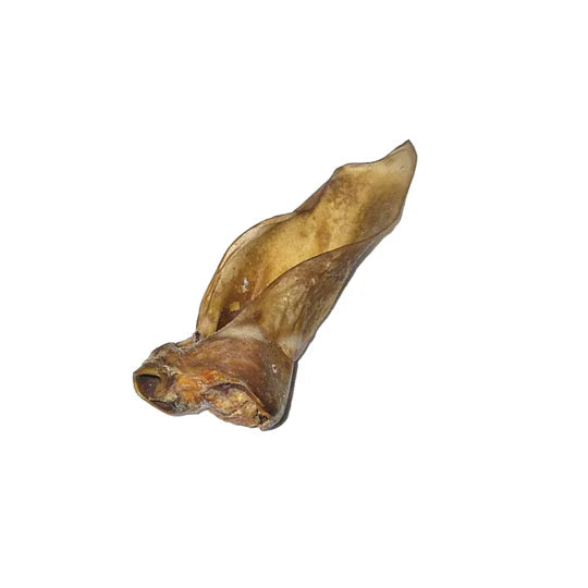 Oreilles de cerf