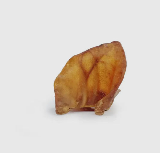 Oreille de porc