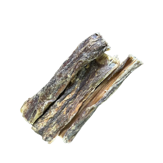 Œsophage de chameau-50g