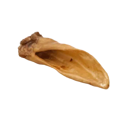Oreille d’agneau fumée et soufflée