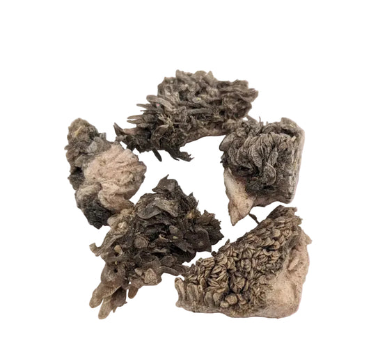 Tripes vertes de bison lyophilisées-1,5oz