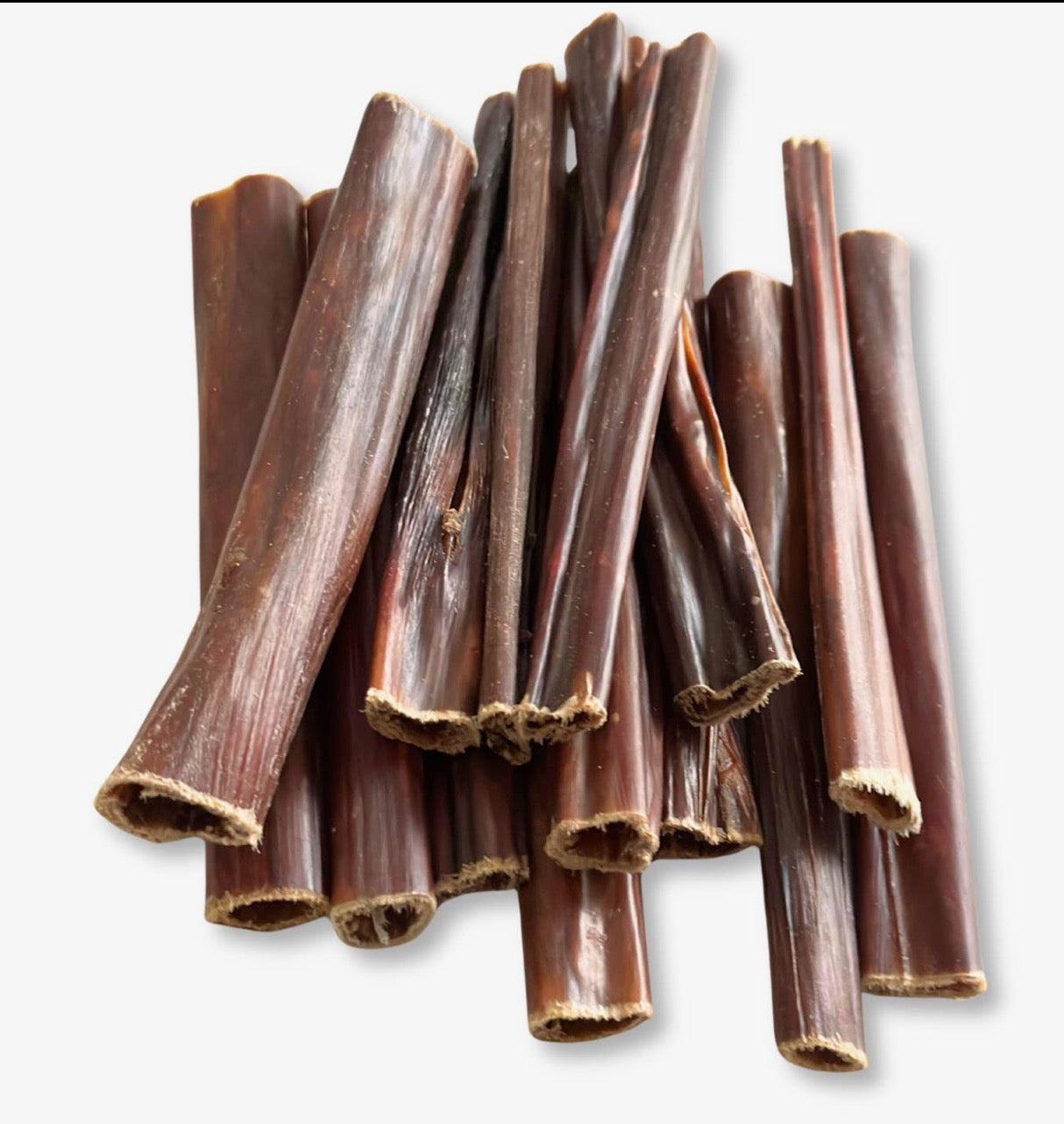 Œsophage de bœuf-6 pouces