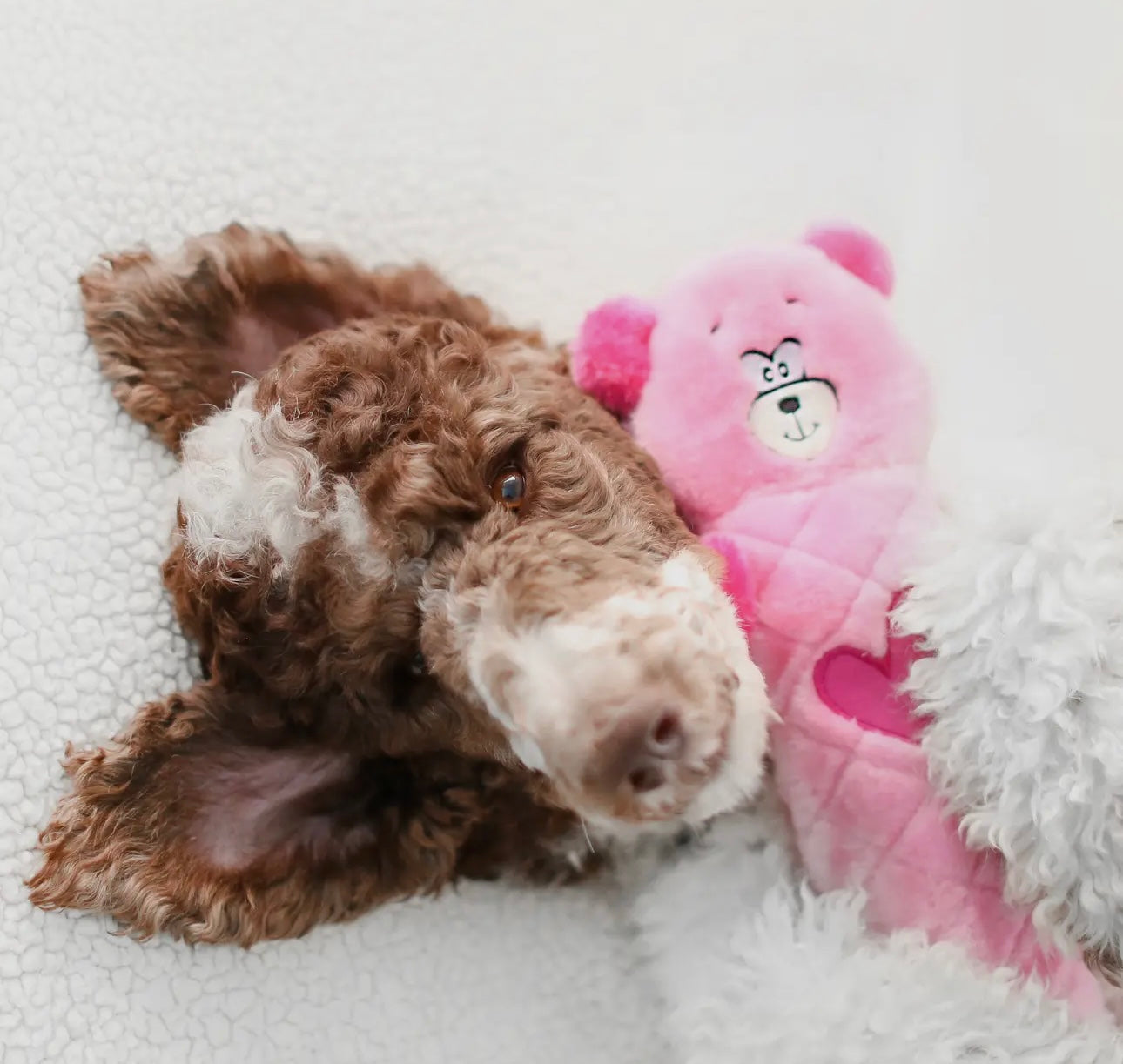 Peluche Ours rose-ZippyPaws