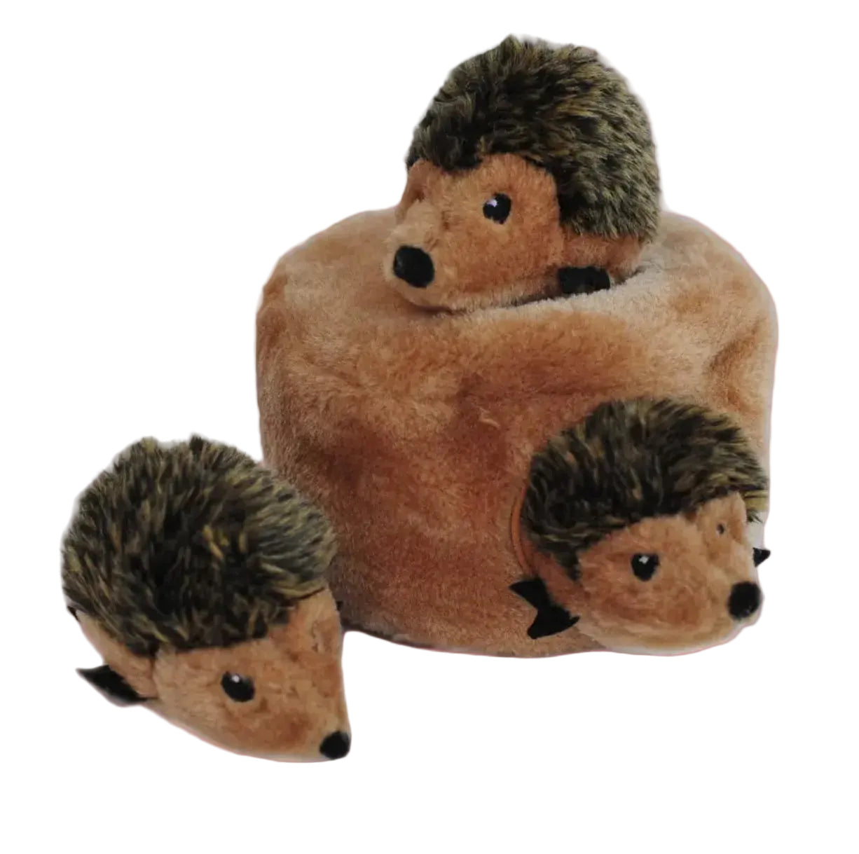 Terrier de hérisson-Zippy paws