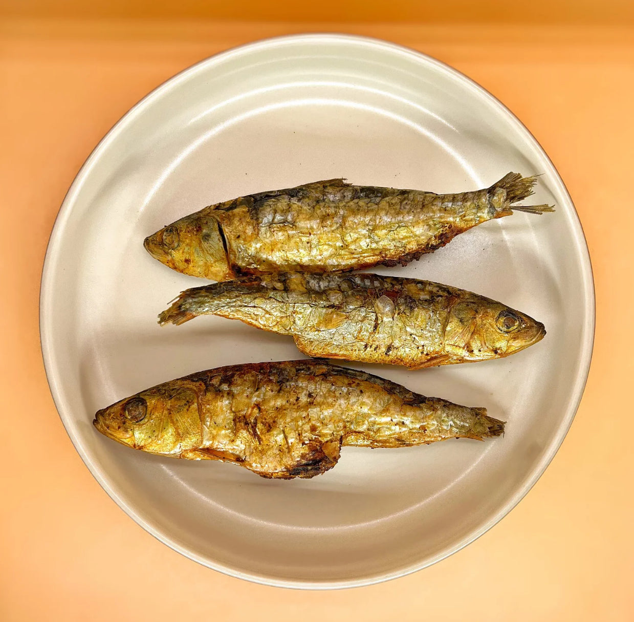 Sardines entières lyophilisées