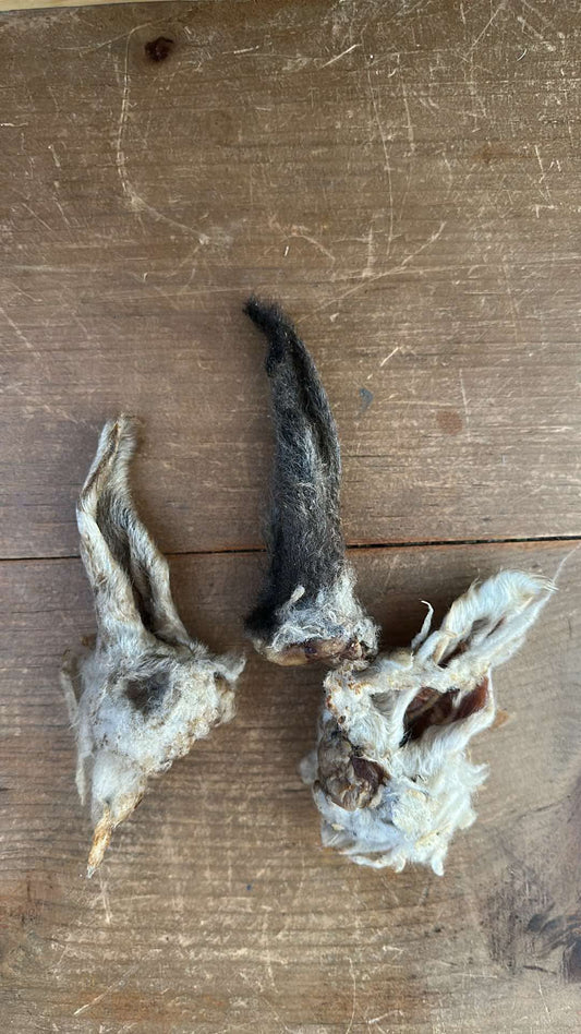Oreille d'agneau avec poils