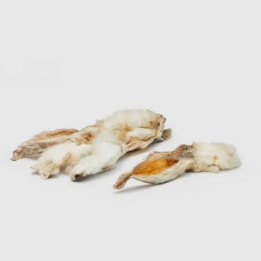Oreille de lapin