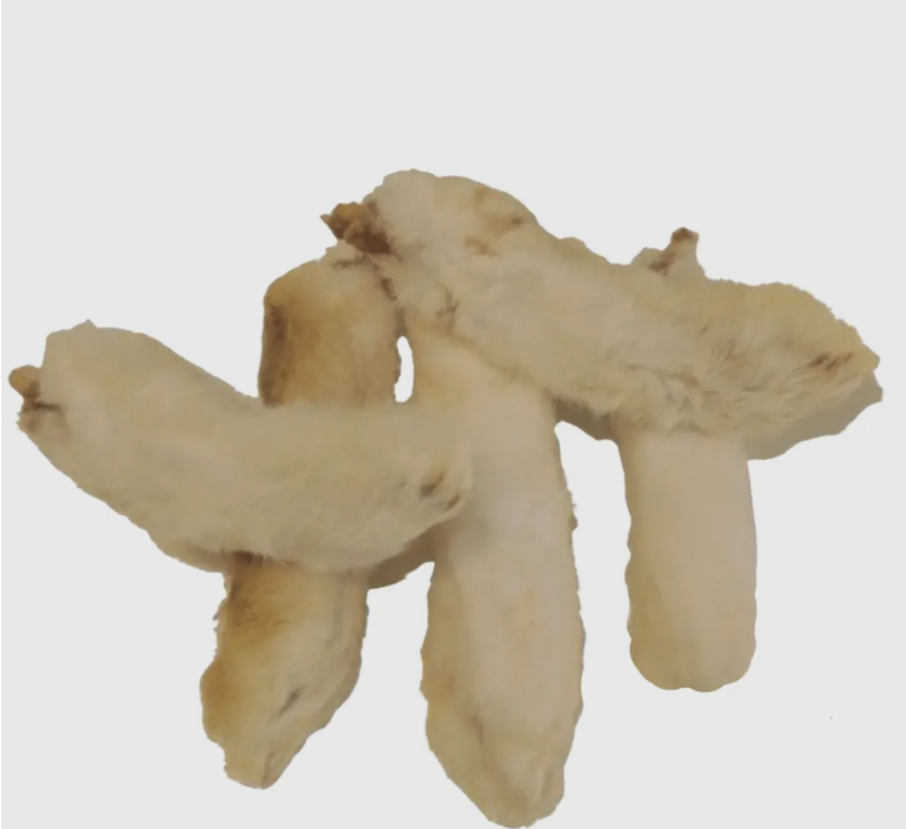 Patte de lapin