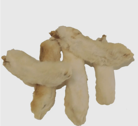 Patte de lapin