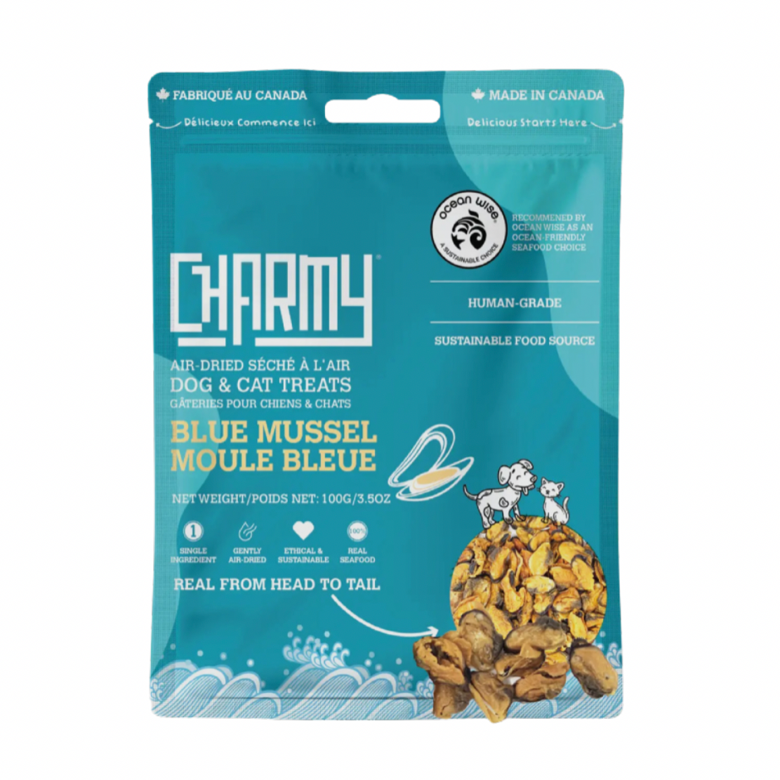 Moule bleue- Charmy Pet