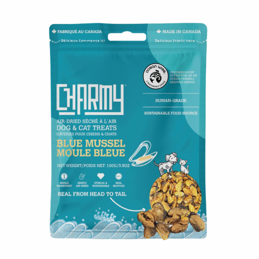 Moule bleue- Charmy Pet