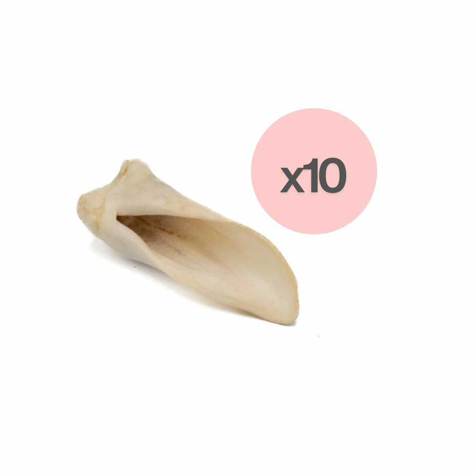 Oreille d'agneau soufflée (10)