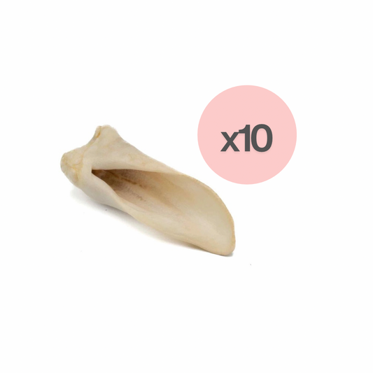 Oreille d'agneau soufflée (10)