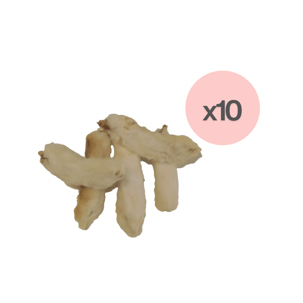 Patte de lapin (10)