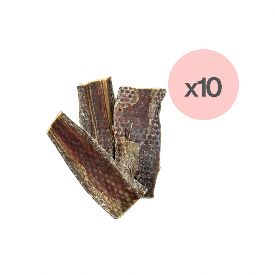 Jerky de bœuf (10)