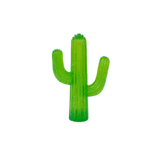 Cactus- Zippypaws