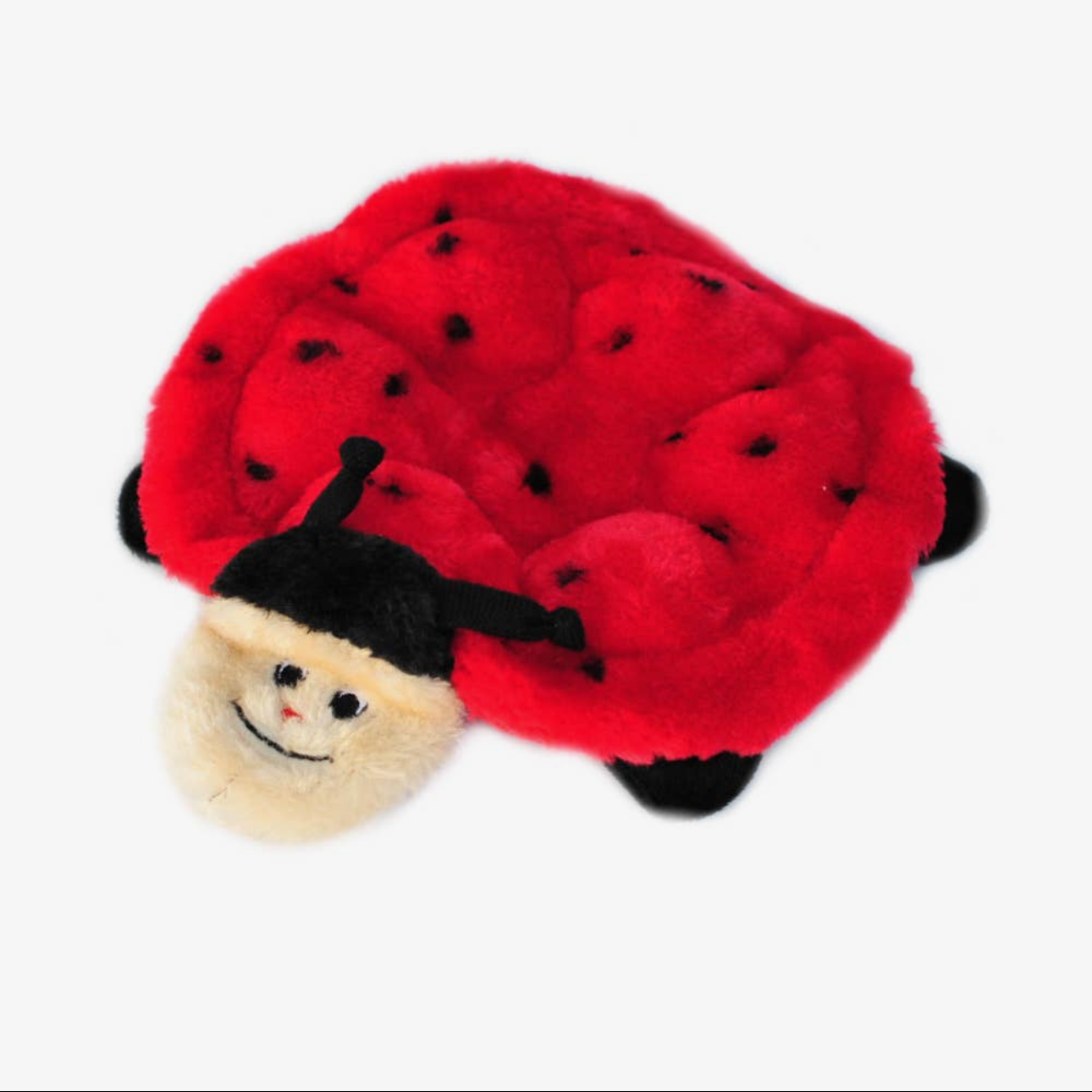 Coccinelle- Zippy paws