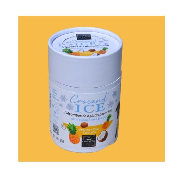 Glace pour chien