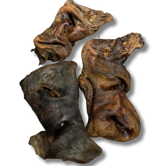Nez de boeuf